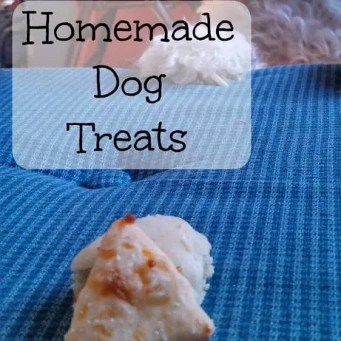 Dog treats are a great way to praise your pet without adding unnecessary ingredients into their diets. Your pet will love these soft and chewy homemade dog treats especially if you use my secret ingredient!