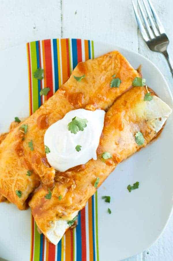 These easy chicken enchiladas are stuffed with slow roasted chicken and refried beans and topped with spicy enchilada sauce and melted cheese. 