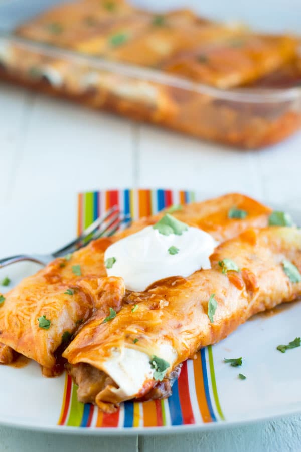 These easy chicken enchiladas are stuffed with slow roasted chicken and refried beans and topped with spicy enchilada sauce and melted cheese. 