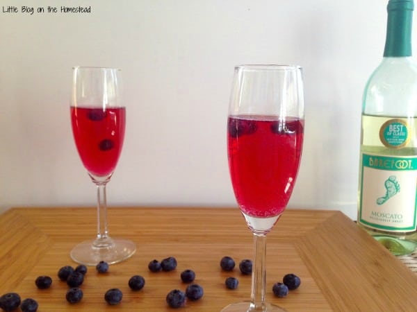 Blueberries soaked in sweet moscato wine create the perfect refreshing spring and summer drink. Add sprite and you've got a sparkling wine to die for!