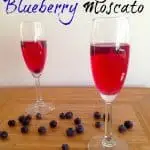 Sparkling Blueberry Moscato {Guest Post}