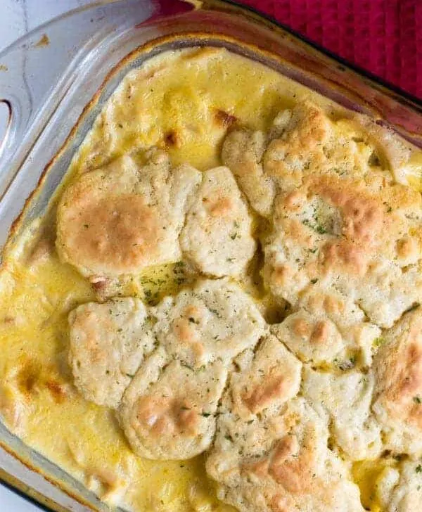 Chicken and dumpling casserole is an easy weeknight one dish twist on a southern classic!