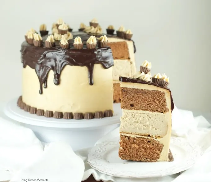 chocolate-peanut-butter-cheesecake-cake-4