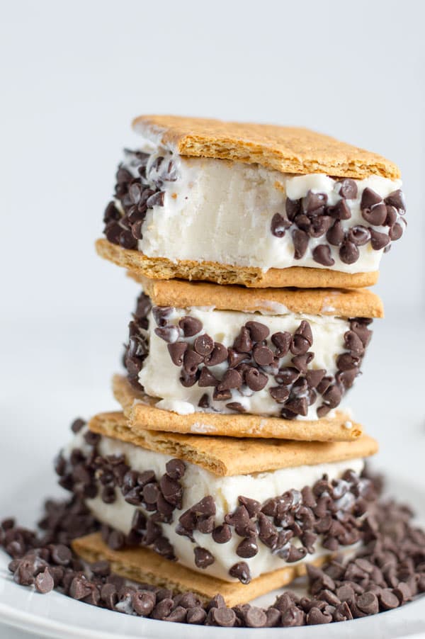 Get ready for summer with homemade frozen yogurt gone smores! These frozen yogurt smores sandwiches have all the flavors of your favorite summer treat!