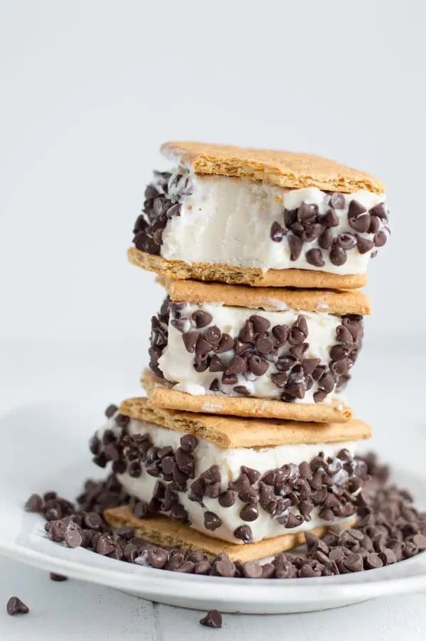 Get ready for summer with homemade frozen yogurt gone smores! These frozen yogurt smores sandwiches have all the flavors of your favorite summer treat!