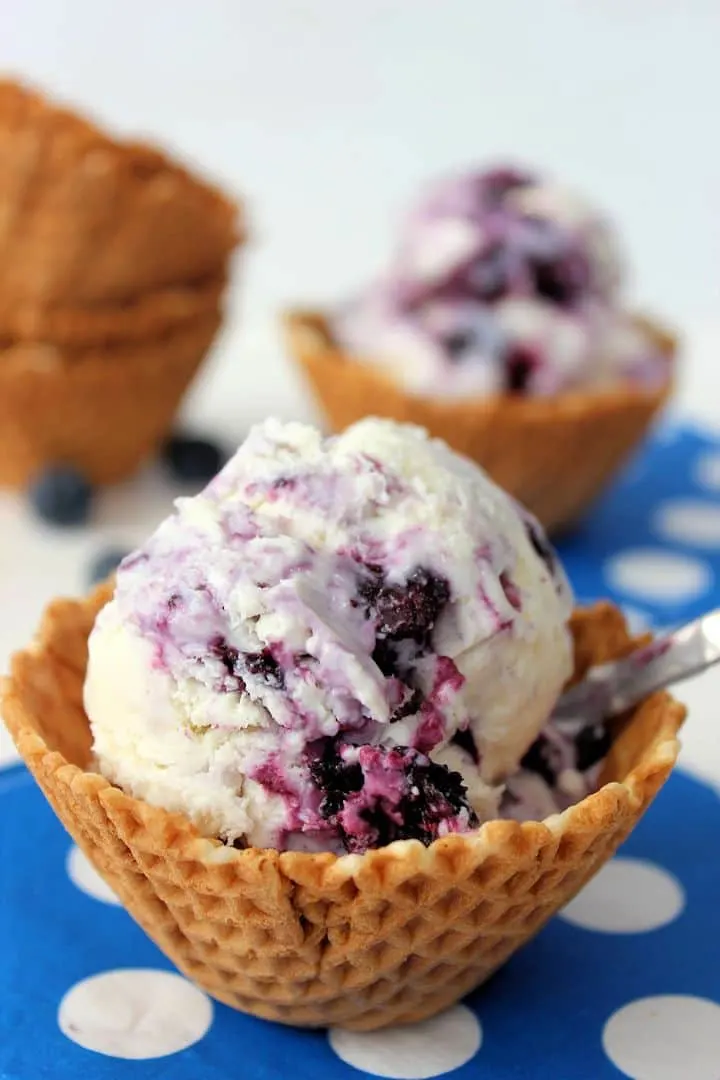 Blueberry-Cheesecake-Ice-Cream