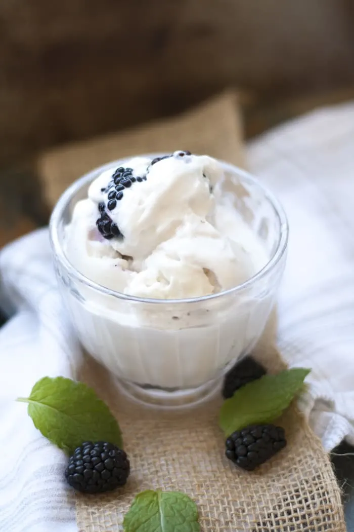 homemade-blackberry-icecream-recipe-4-e1460406288263